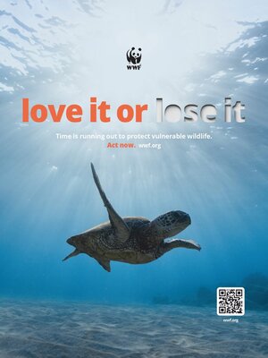 Macworld UK - Magazine